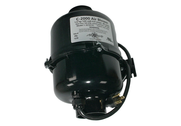 ASU3210131