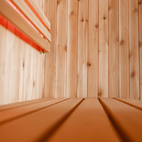 Logan 1 Person Indoor Sauna