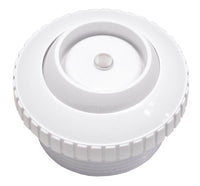 CMP Return Inlet Check Valve In-Ground White MIP 1-1/2"