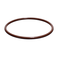 CMP PowerClean Ultra Chlorinator Cover O-Ring