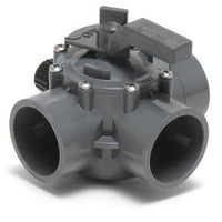 Jandy Pro Series 2" - 2 1/2" Positive  | 2875