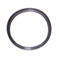 Jandy Pool Light Gasket, Silicon | R0790500