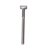 Pentair SS Filter Clamp T-Bolt | 070428Z