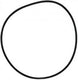 Pentair O-Ring C-18 | 071433