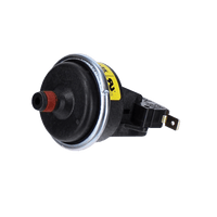 Pentair MasterTemp Heater Water Pressure Switch