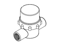 Pentair Inline Filter Strainer, 1/4" FNPT