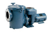 Pentair CSP/CCSP Series Commercial Self-Priming Pump, 15HP, 230/460 V, Three Phase | 022315373372