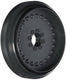 Pentair Platinum Wheel w/o Bearings, Gray