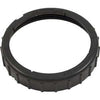 Pentair Lock Ring