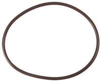 Pentair High Capacity Chlorinator Lid to Housing O-Ring