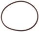 Pentair High Capacity Chlorinator Lid to Housing O-Ring
