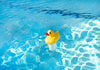 Poolmaster Pool Duck Floating Chlorine Dispenser, Telescopic Dispenser with Adjustable Chlorine Control Ring, for Use with 1
