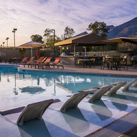Cappuccino Polystone Destination Lounger