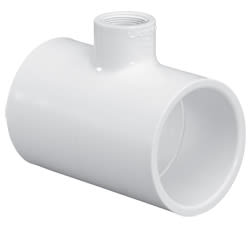 S4PT249