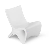 Autograph Chair