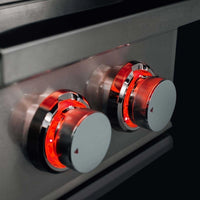 TrueFlame Double Side Burner - Natural Gas