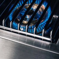 TrueFlame Double Side Burner - Natural Gas