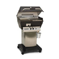 Broilmaster Qrave Grill Head Natural Gas